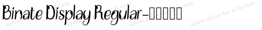 Binate Display Regular字体转换